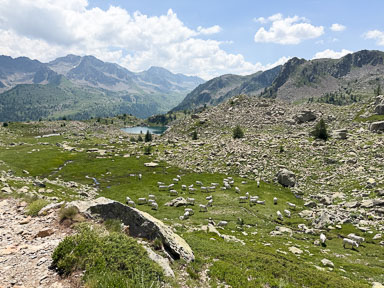 IMG_4285.jpg