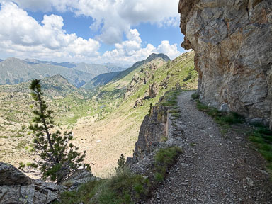 IMG_4292.jpg