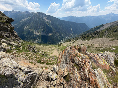 IMG_4328.jpg