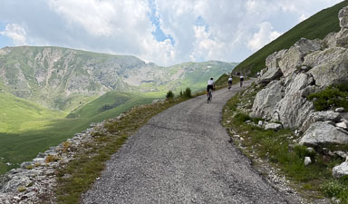 IMG_4371.jpg