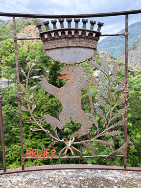 IMG_4423.jpg