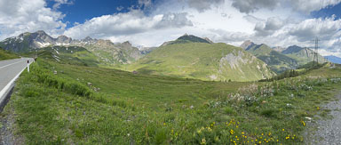 IMG_4531.jpg