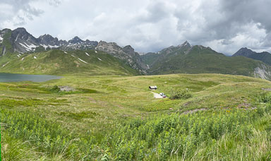 IMG_4537.jpg
