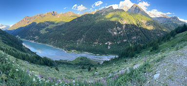 IMG_4549.jpg