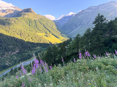 IMG_4554.jpg