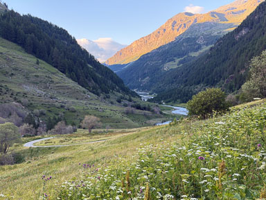 IMG_4560.jpg