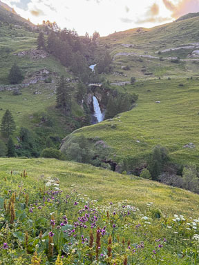 IMG_4562.jpg