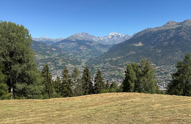 IMG_4577.jpg