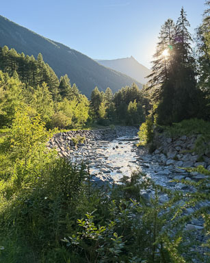 IMG_4661.jpg