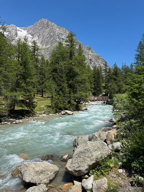 IMG_4677.jpg