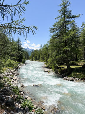 IMG_4685.jpg