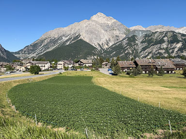 IMG_4739.jpg