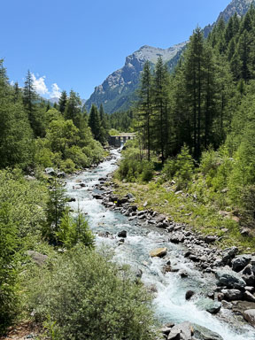 IMG_4760.jpg