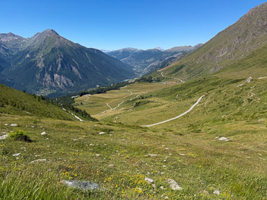 IMG_4805.jpg