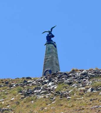 IMG_4895.jpg