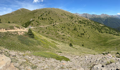 IMG_4911.jpg