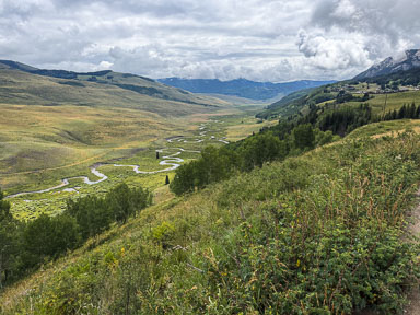 IMG_5047.jpg