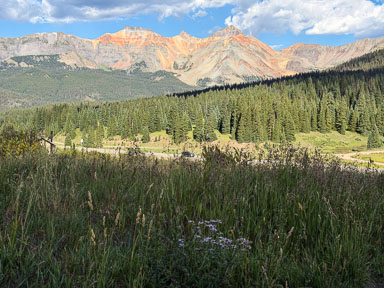 IMG_5278.jpg