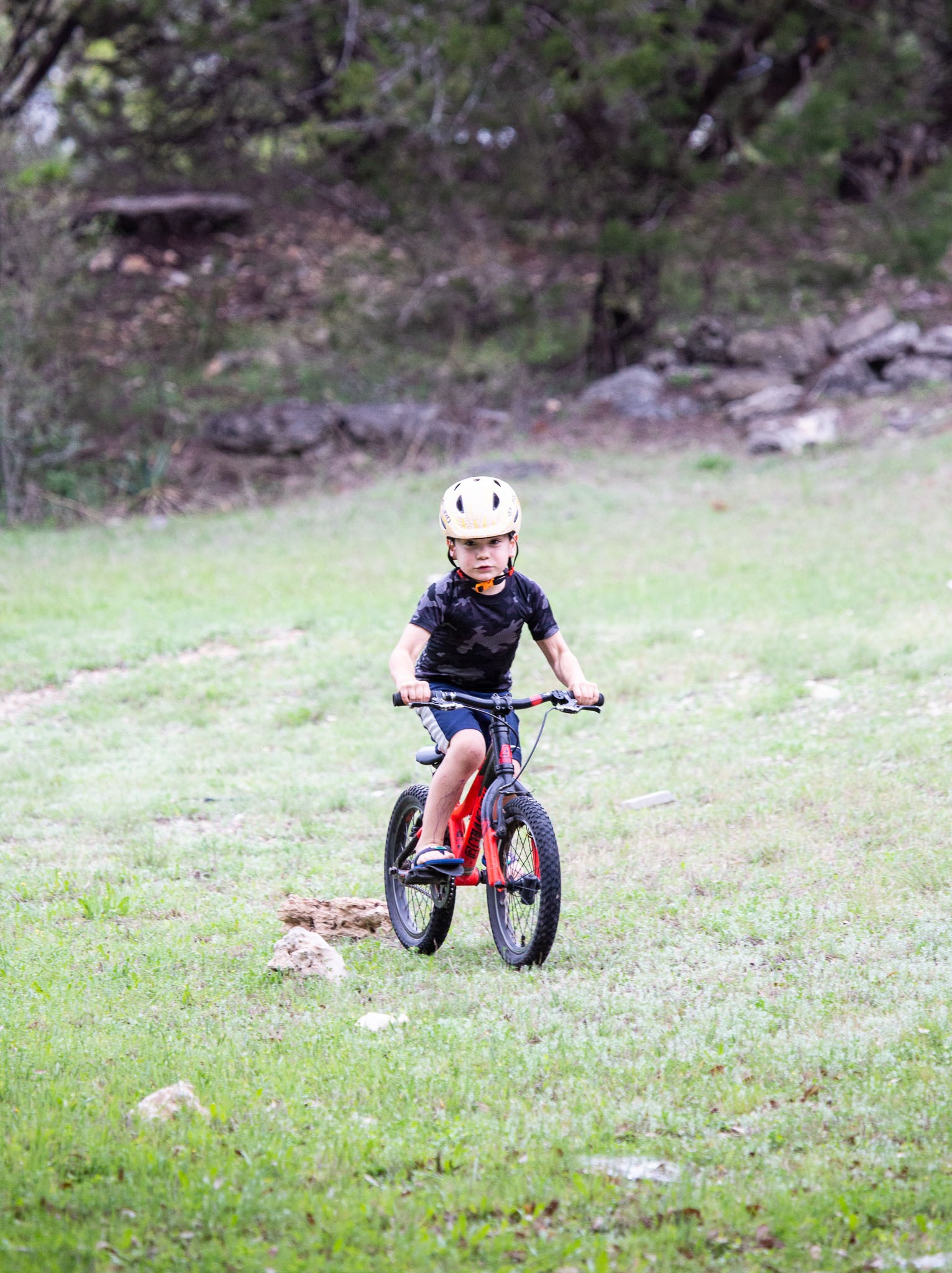 Bike2020-018.jpg