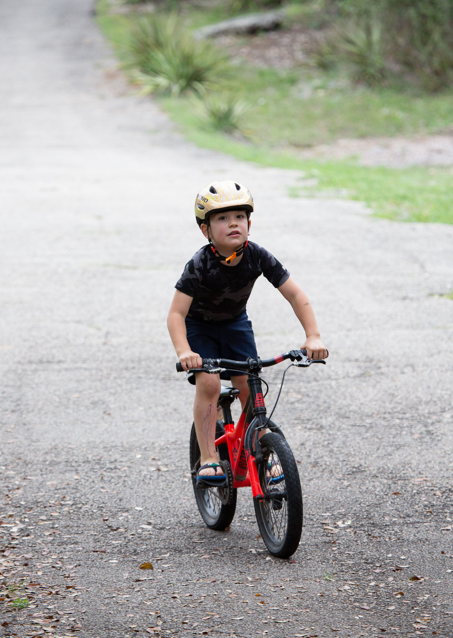 Bike2020-039.jpg