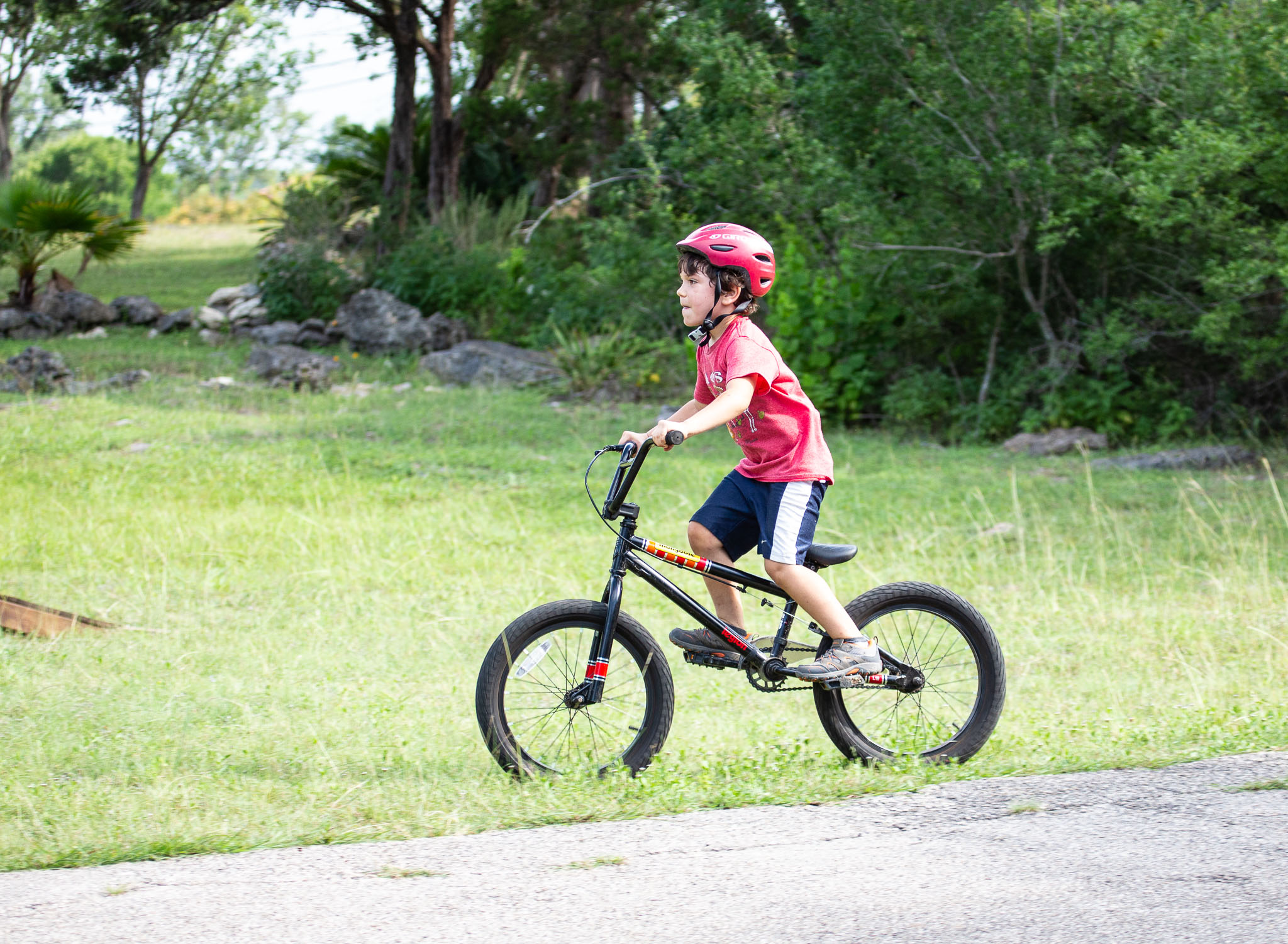 Bike2020-0460-203.jpg