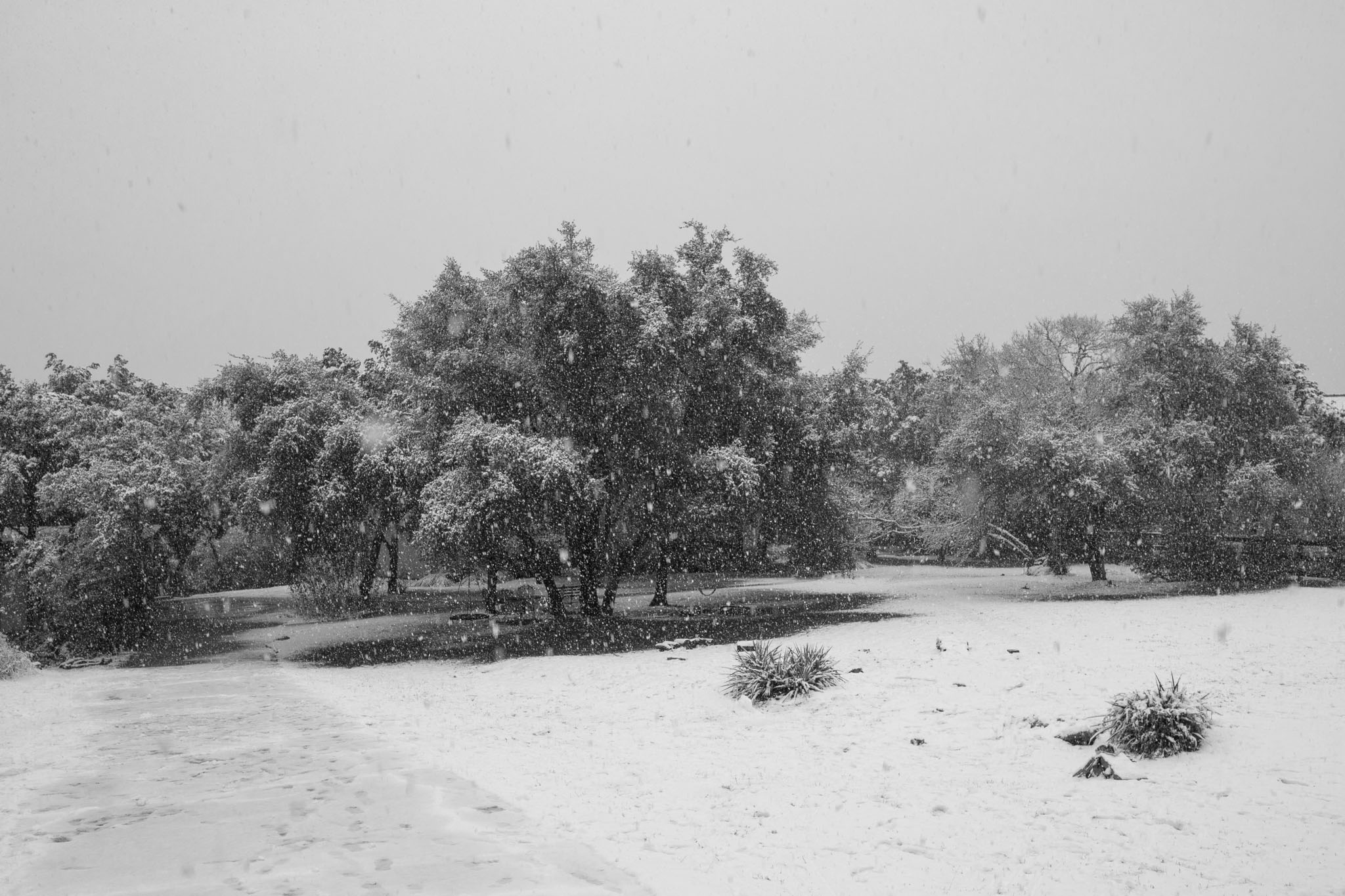 Winter2020-0039-21.jpg