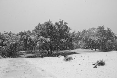 Winter2020-0039-21.jpg