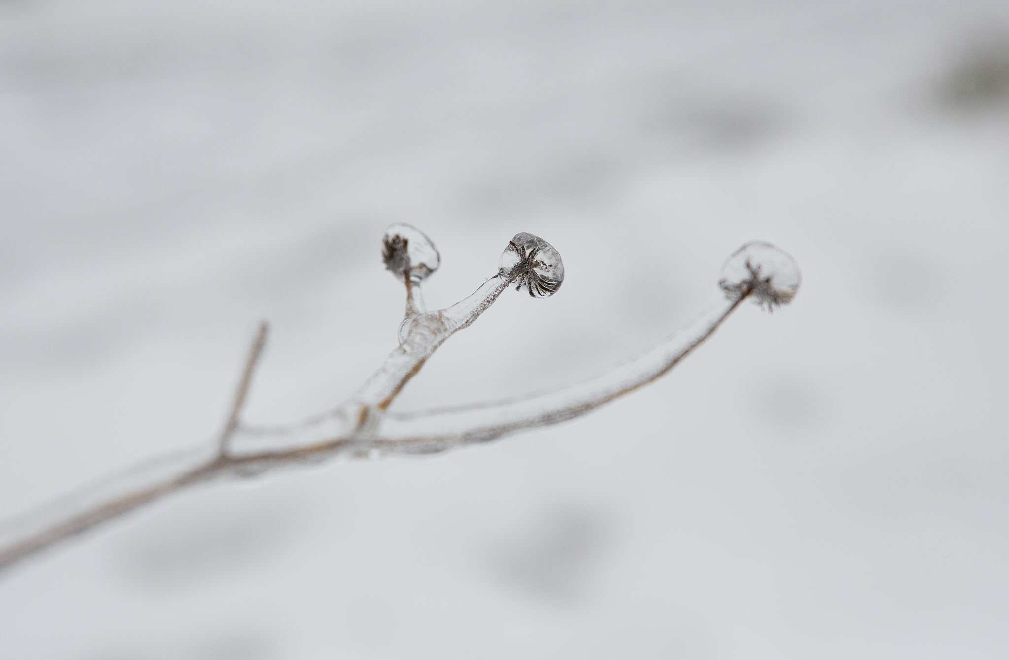 Winter2020-0151-110.jpg