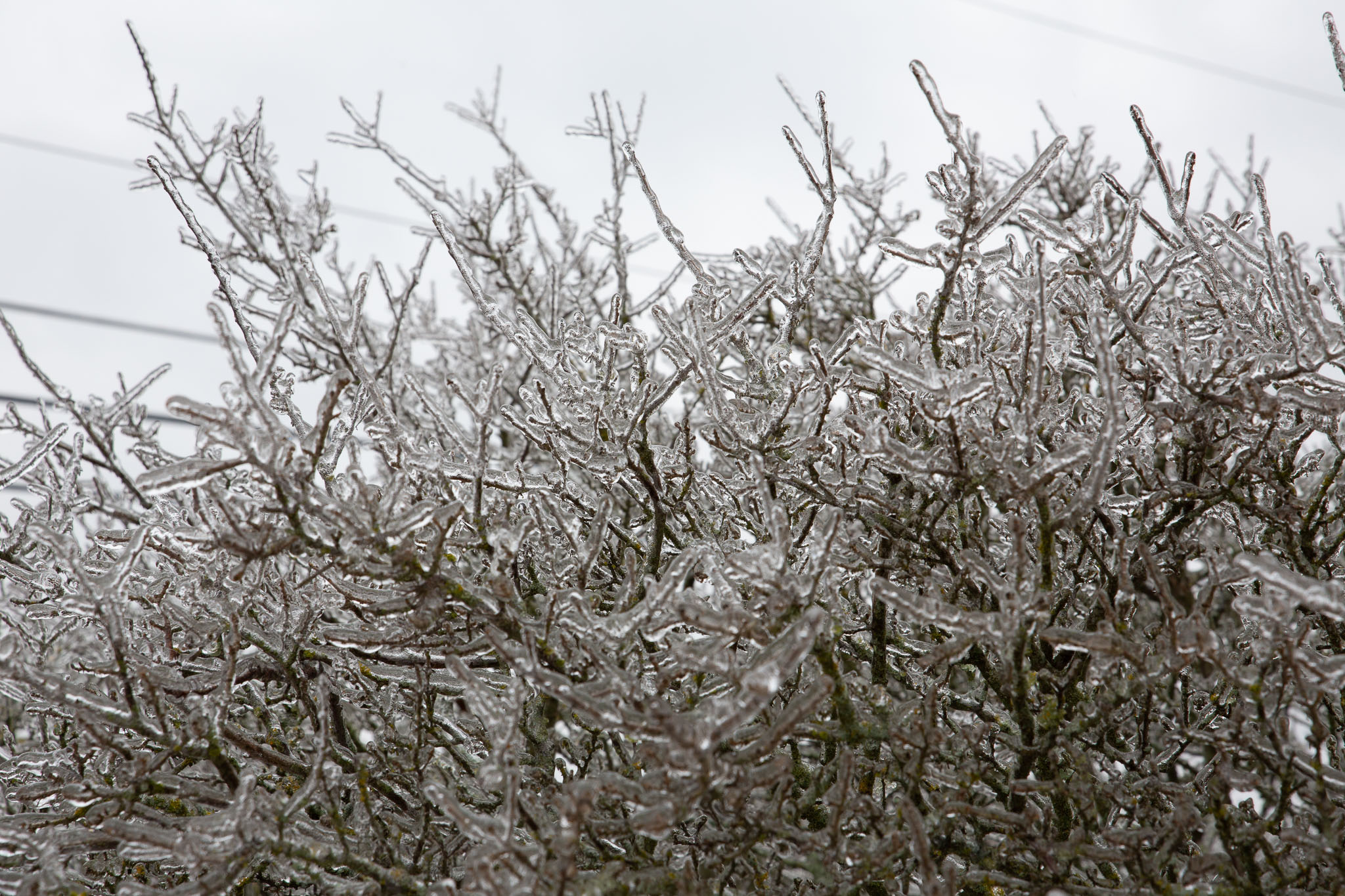 Winter2020-0151-117.jpg
