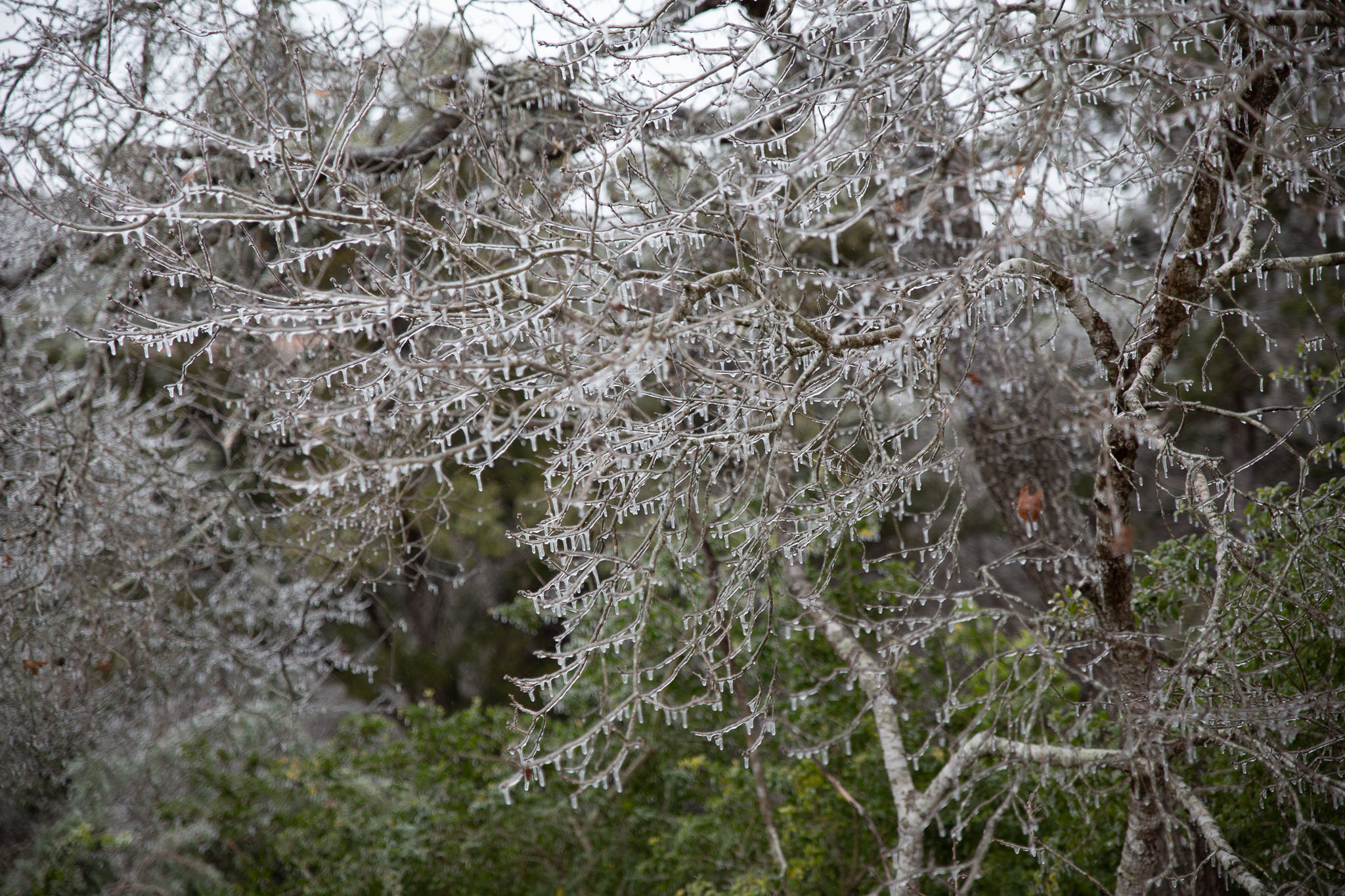 Winter2020-0151-118.jpg