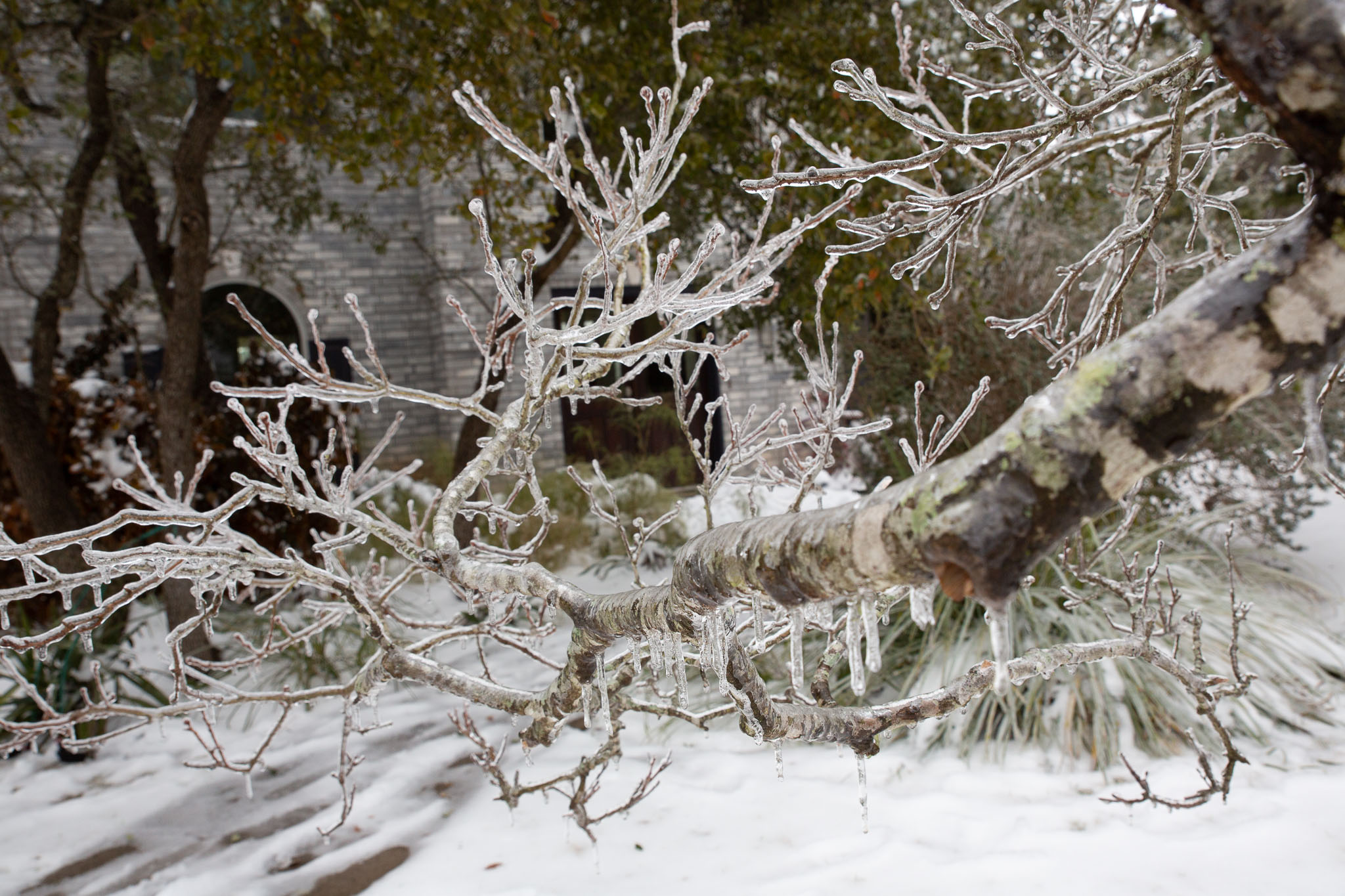 Winter2020-0151-127.jpg