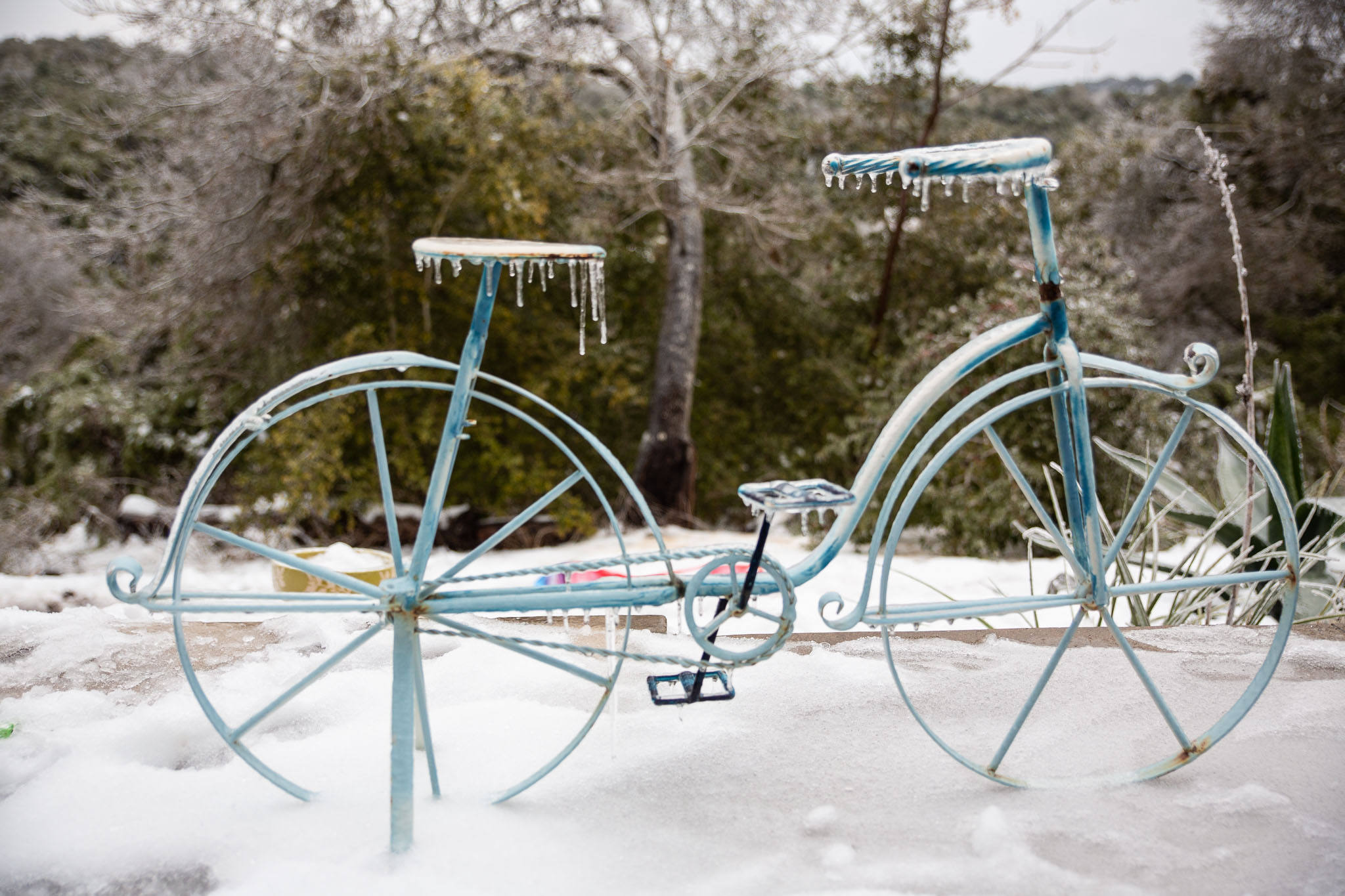 Winter2020-0151-137.jpg