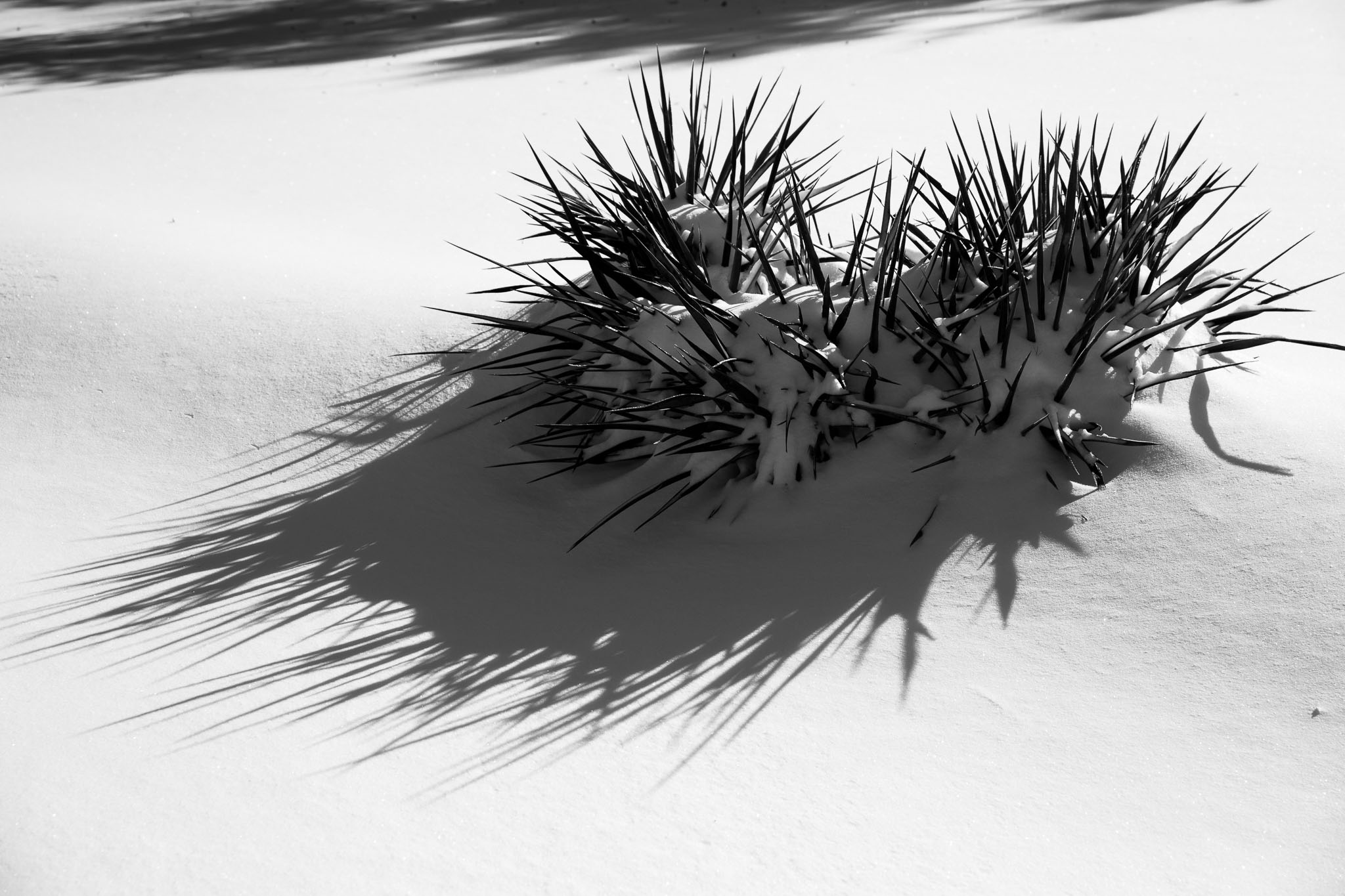 Winter2020-0151-151.jpg