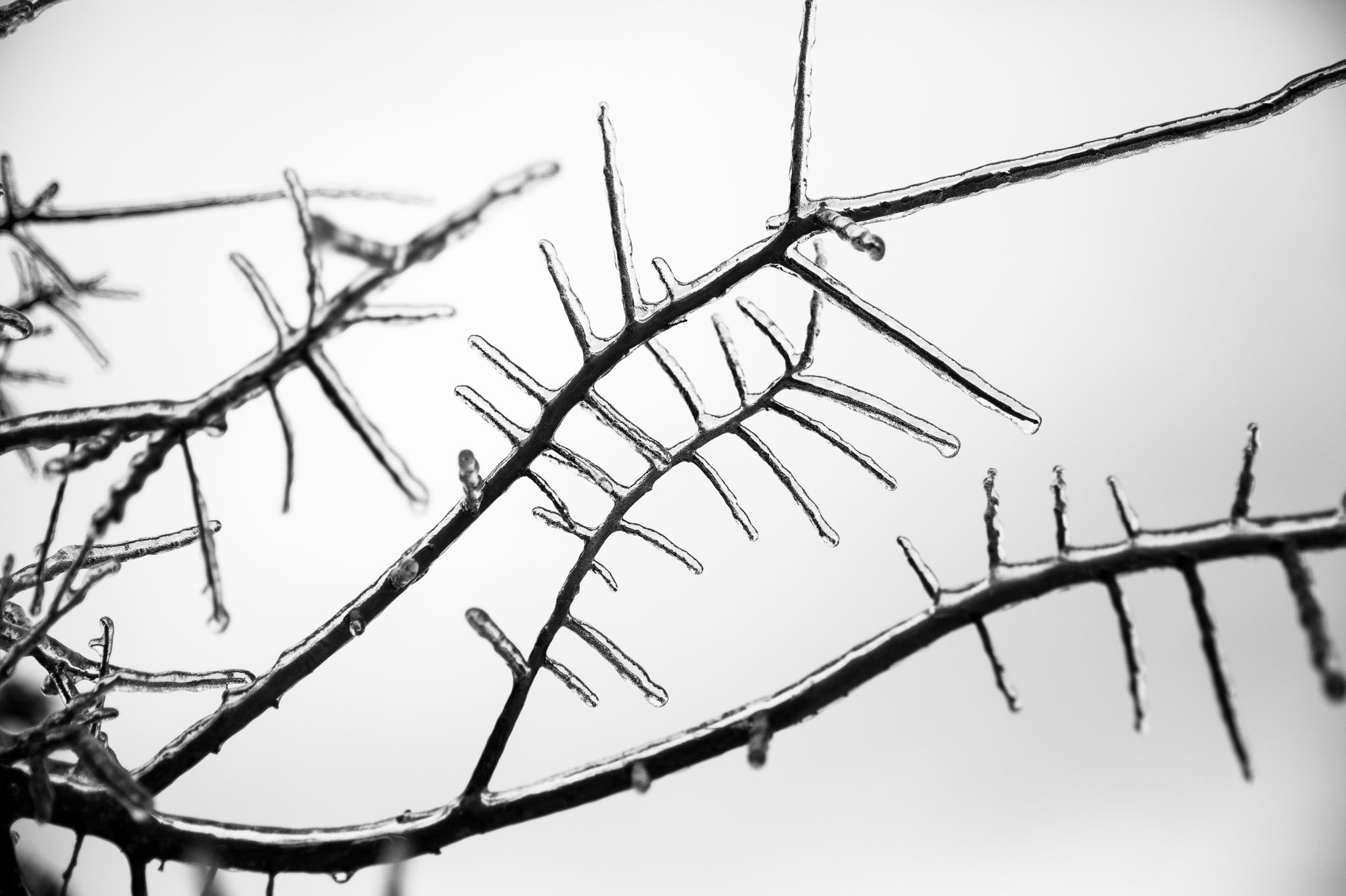 Winter2020-0151-25.jpg