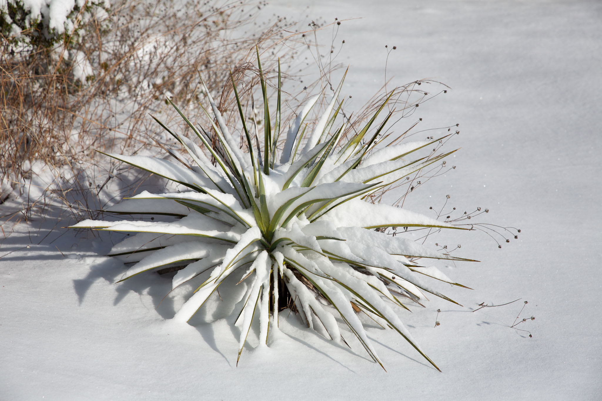 Winter2020-0151-40.jpg