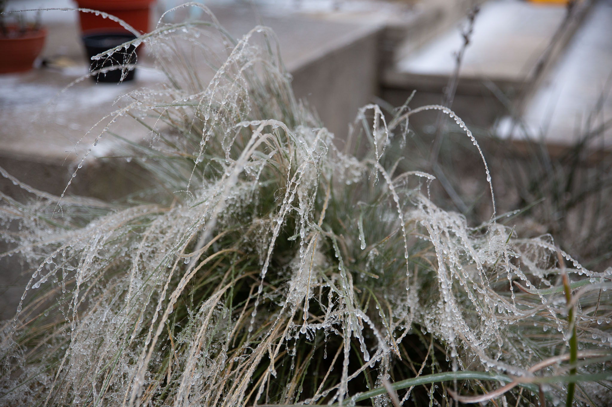Winter2020-0151-47.jpg