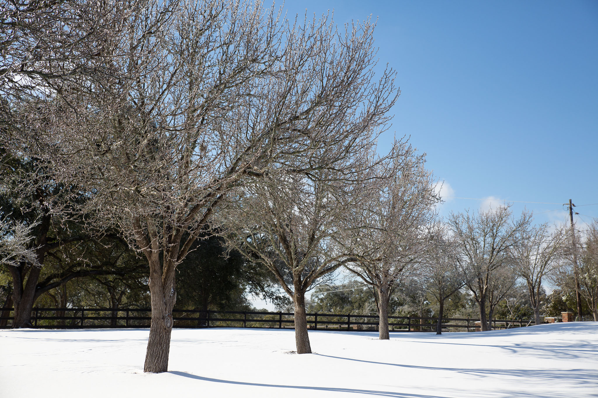 Winter2020-0151-56.jpg