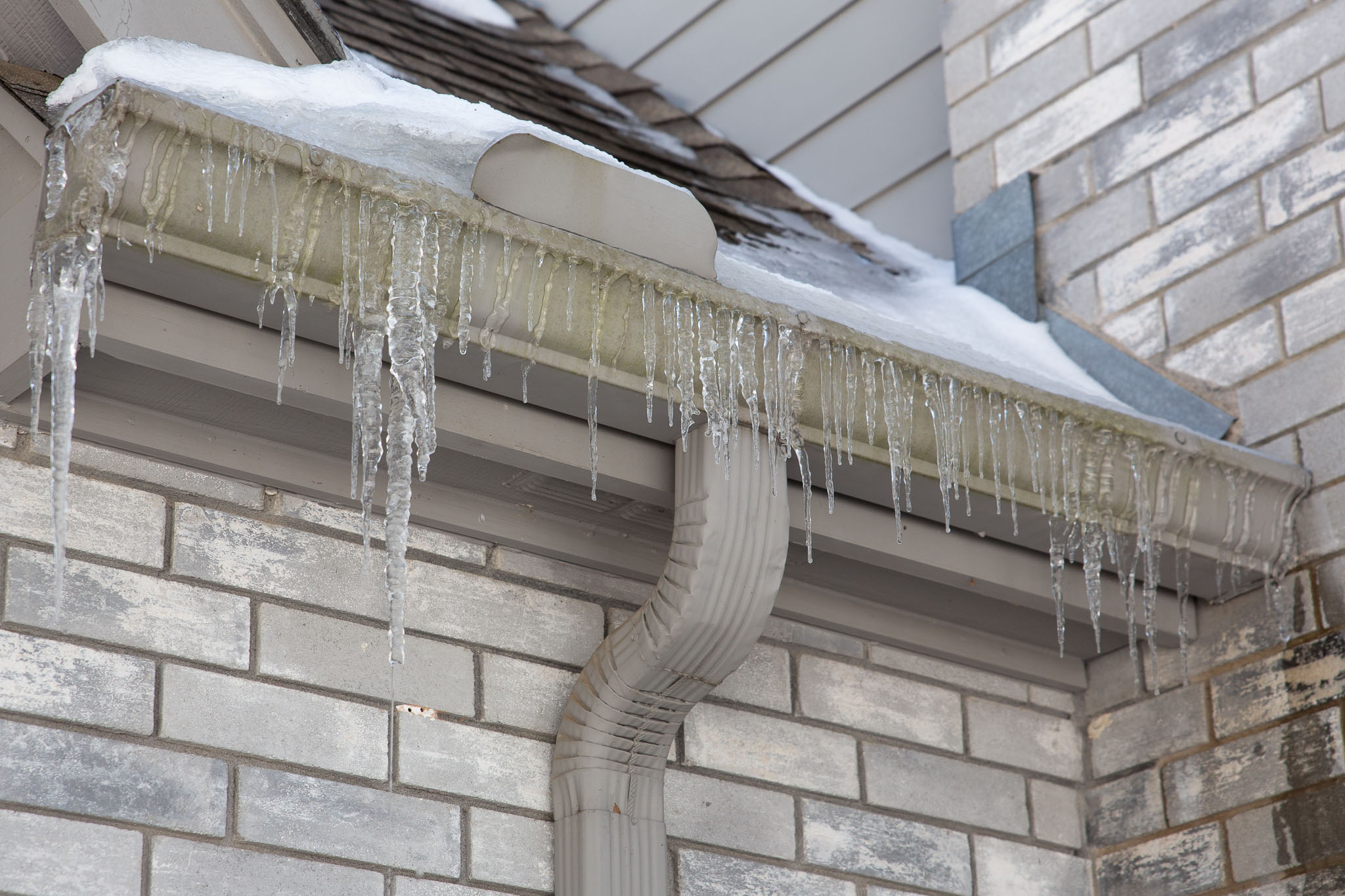 Winter2020-0151-95.jpg