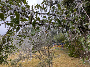 IMG_4571.jpg