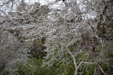Winter2020-0151-118.jpg