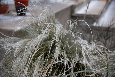 Winter2020-0151-47.jpg