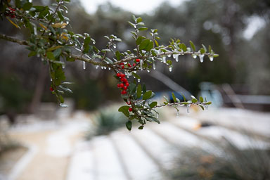 Winter2020-0151-80.jpg
