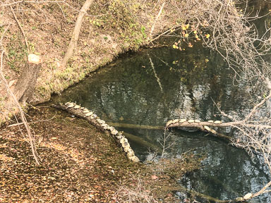 IMG_5401.jpg