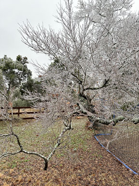 IMG_6373.jpg