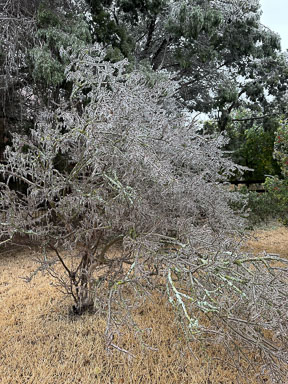 IMG_6374.jpg