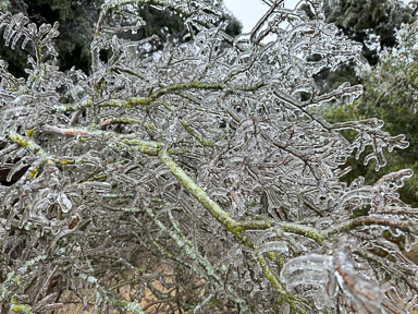 IMG_6394.jpg