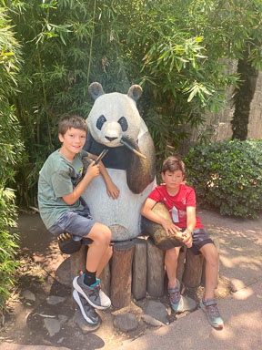 IMG_8518.jpg